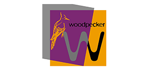 Woodpecker
